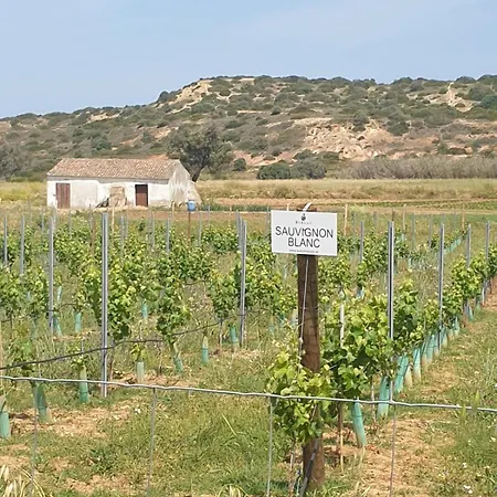 Estrela Da Casavalerie With Gym And Indoor Pool Apartamento *