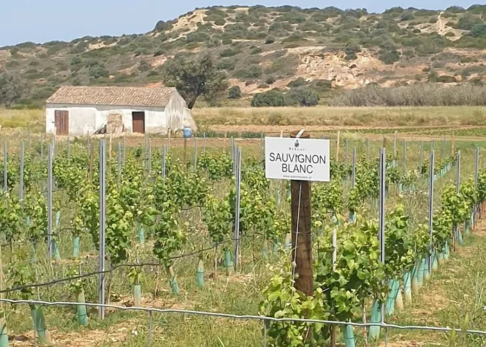 Estrela Da Casavalerie With Gym And Indoor Pool Daire *